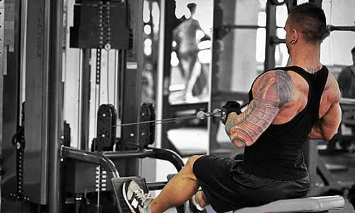 4. Тяга горизонтального блока к поясу с v-образной рукоятью сидя. 8-10 повторений, 4 подхода.