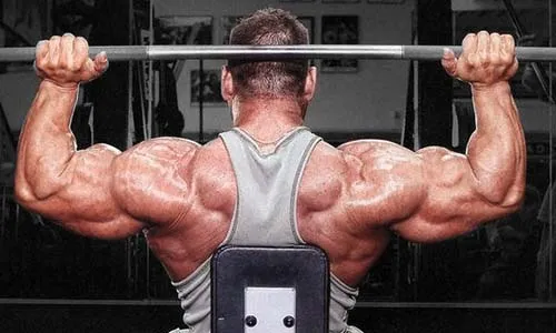 5. Жим штанги вверх, сидя (упражнение на плечи). 8-10 повторений, 4 подхода.