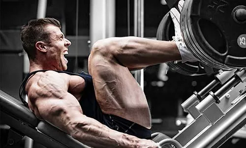 1. Жим ногами в гак-машине. 8-10 повторений, 4 подхода.