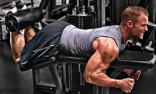 4. Сгибание ног в тренажере (качаем квадрицепсы). 8-10 повторений, 4 подхода.